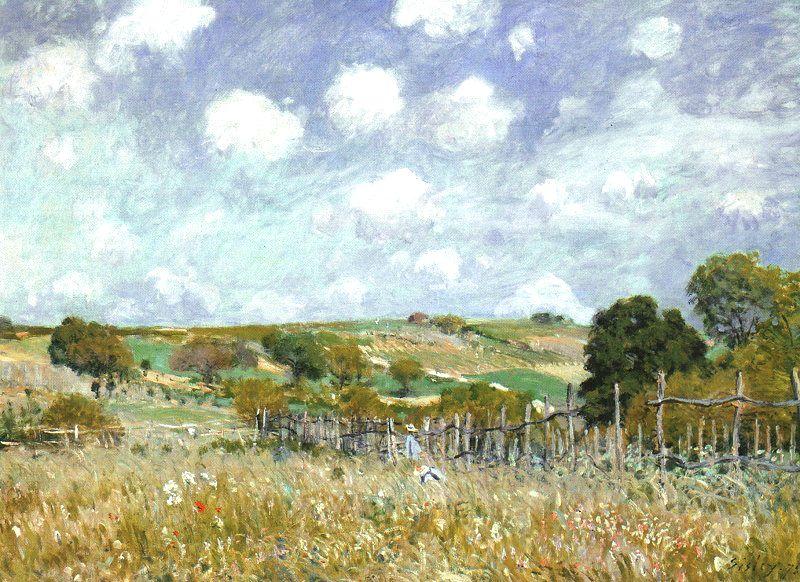 Alfred Sisley Meadow oil painting image